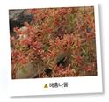 (주)미래엔 과학3~4 ④ 47쪽 수정내용 이미지